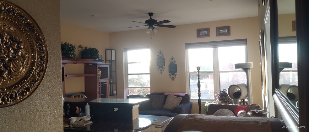 Large windows , high ceilings, ceiling fan - 15475 Andrews Dr
