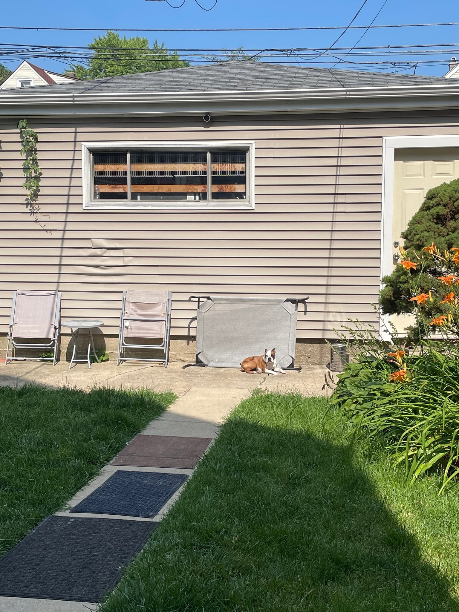 Backyard again - 3131 N Central Park Ave