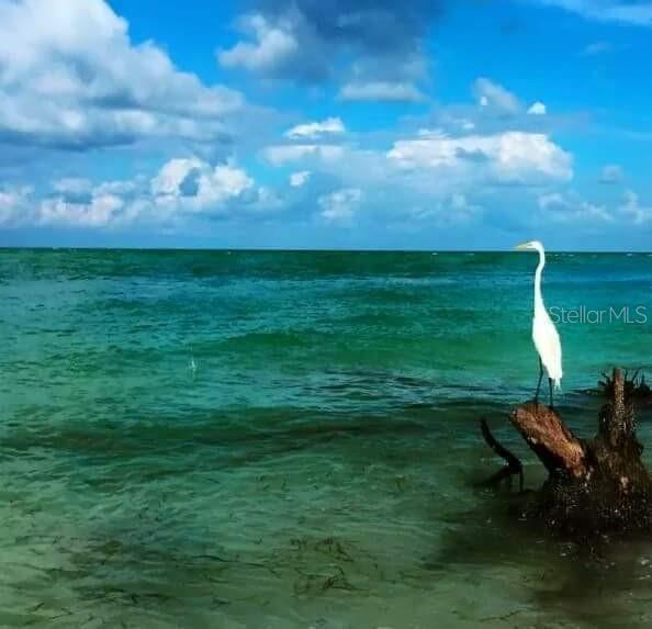 Building Photo - 6326 7th Ave W