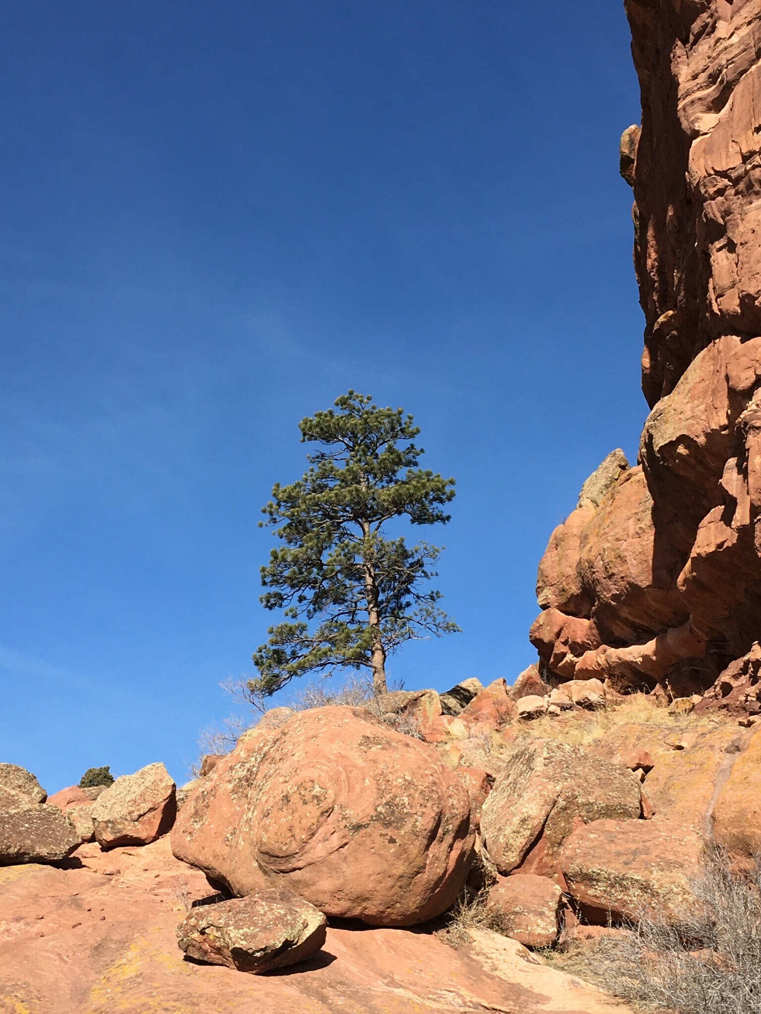 Building Photo - 1833 N Williams St