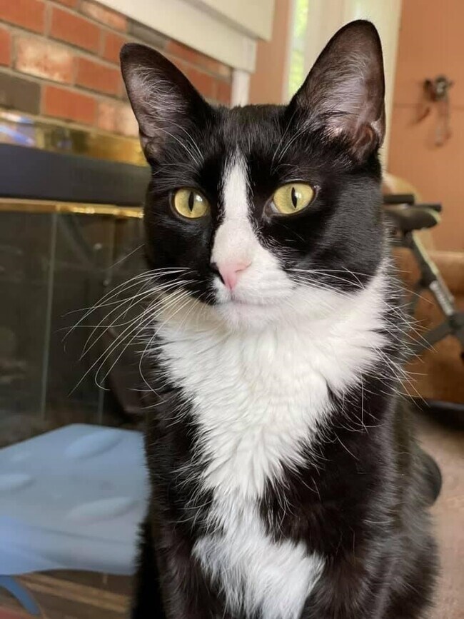 Building Photo - 83 Hanover St