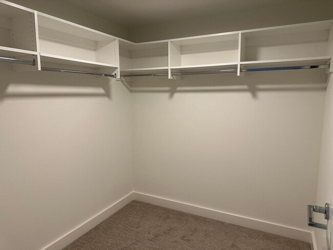 Building Photo - Savina By Bosa, 9th Floor Unit Available March 7th!