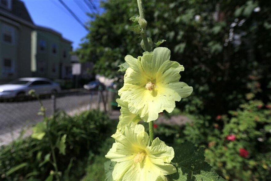Building Photo - 128 Pine St