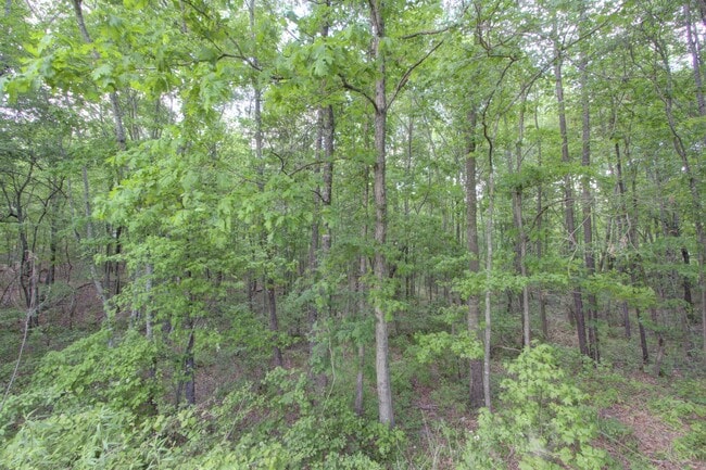 Building Photo - 720 Tennessee Acres Dr