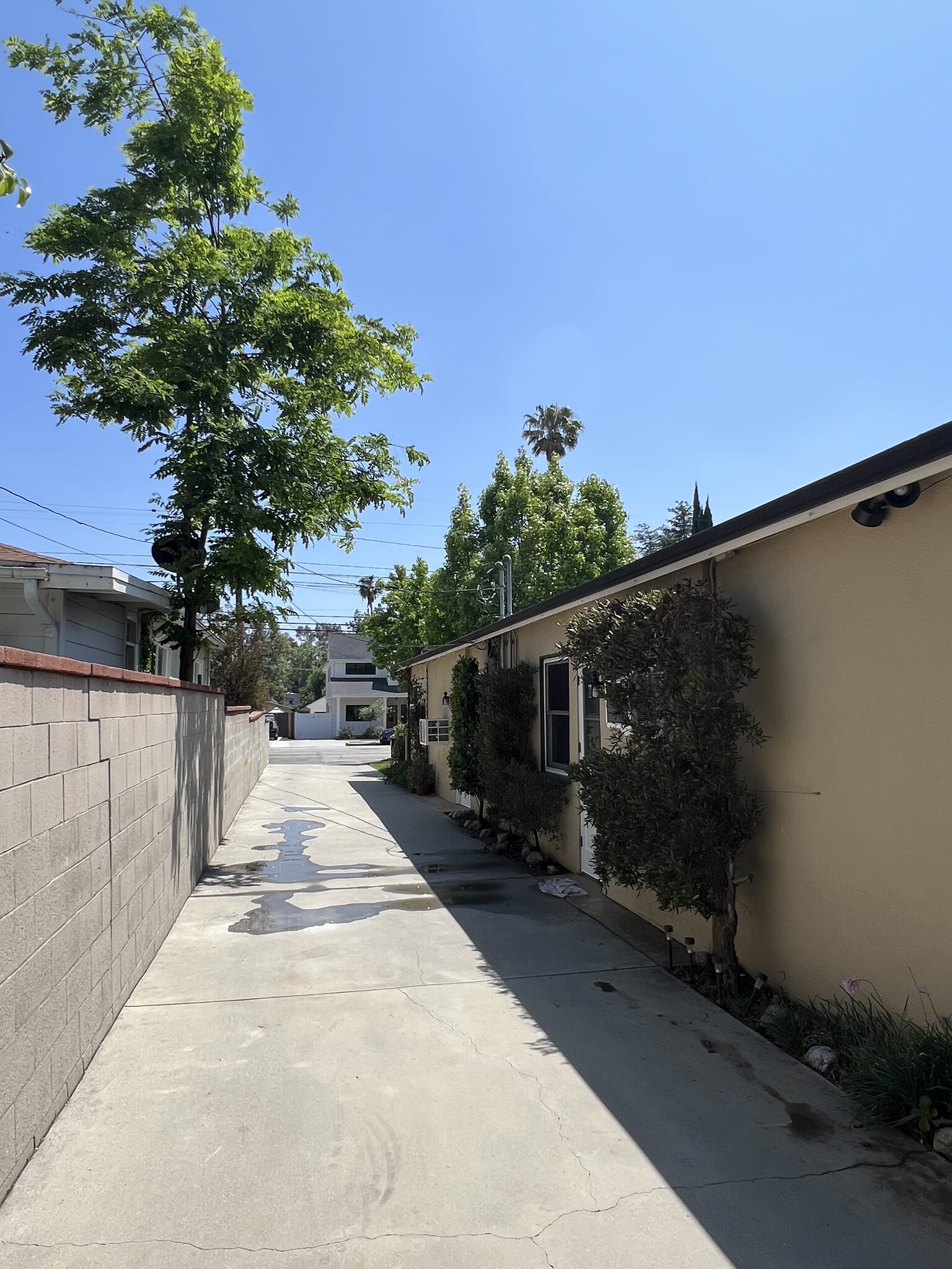 Outdoor - 713 W Colorado Blvd
