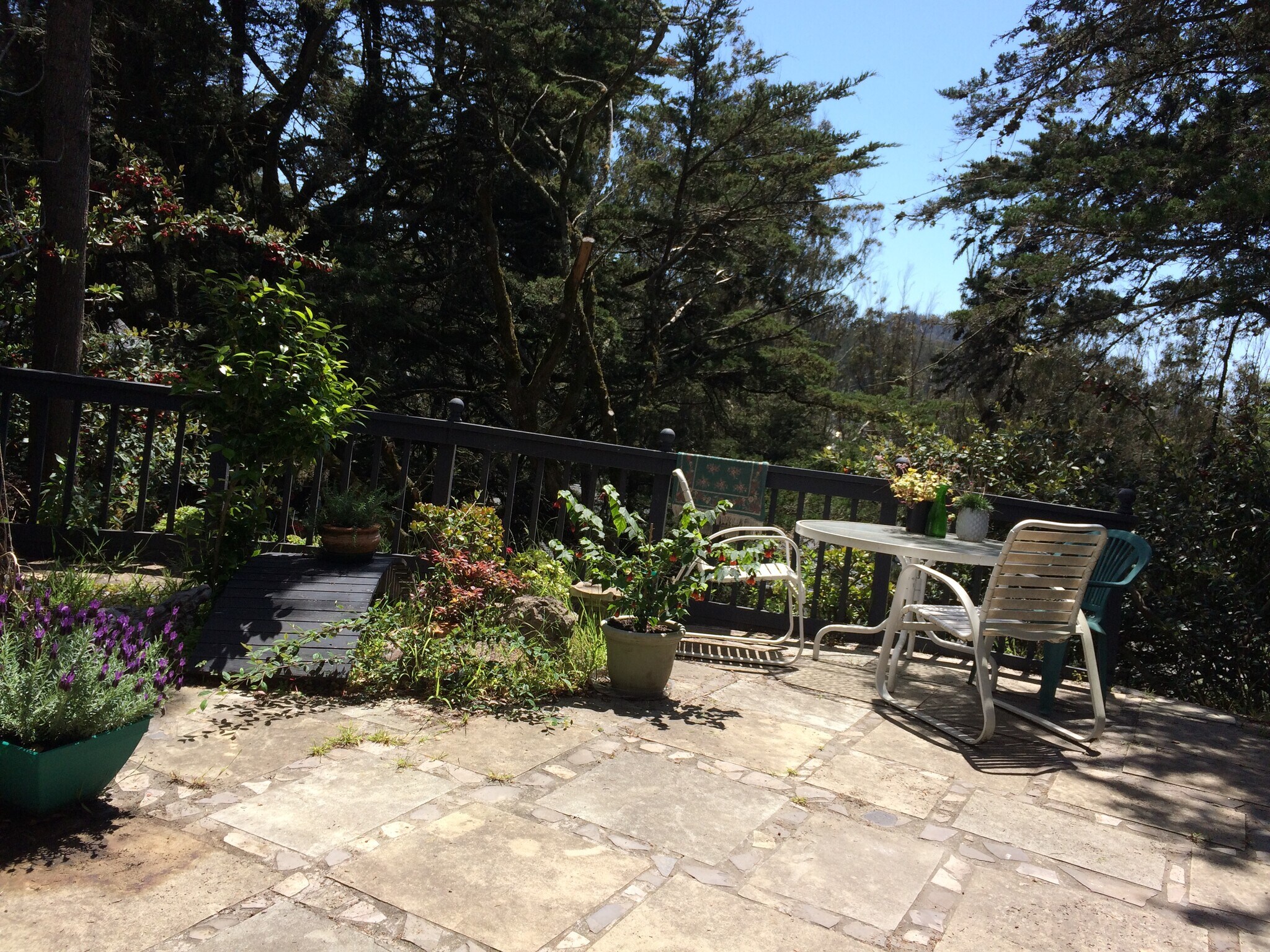 Building Photo - 409 Dellbrook Ave