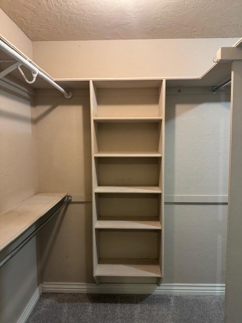 Building Photo - 4704 Stonegate Dr