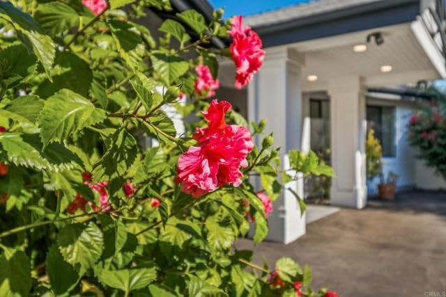 Building Photo - 1051 Via Rancho Pkwy