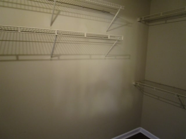 Building Photo - 2990 Buckner Ln