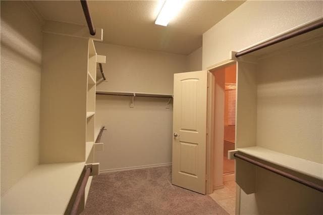Building Photo - 13104 Palancar Dr