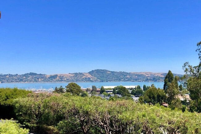 Primary Photo - Charming, Furnished 1-bedroom Condo in Sausalito.