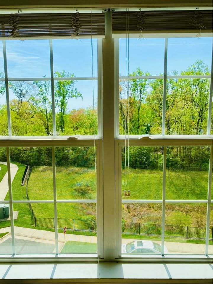 View - 4873 Dane Ridge Cir