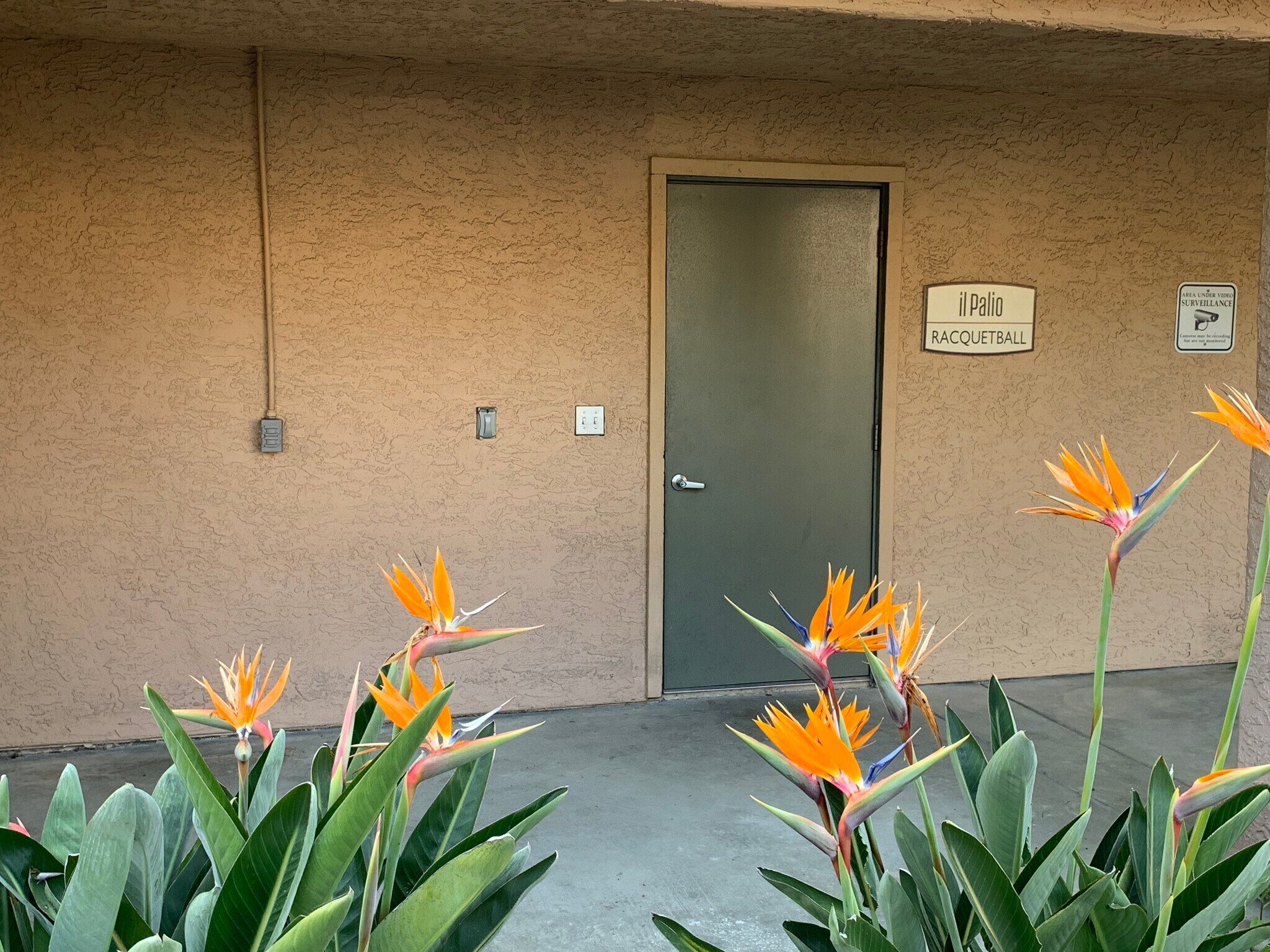 Building Photo - 12035 Alta Carmel Ct
