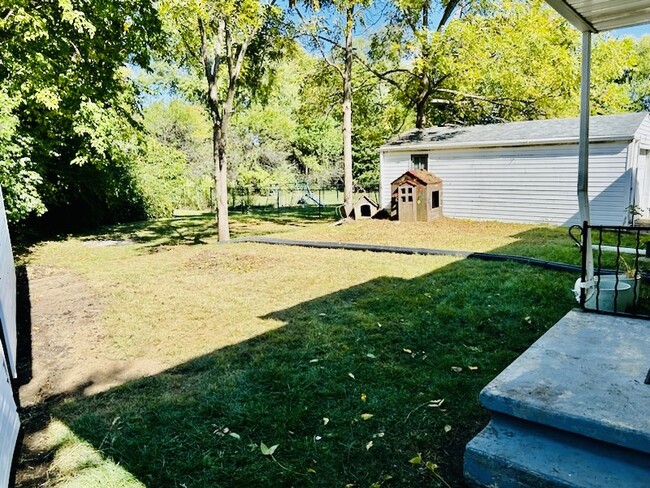 Back yard - next to a creek - 717 Koogler St