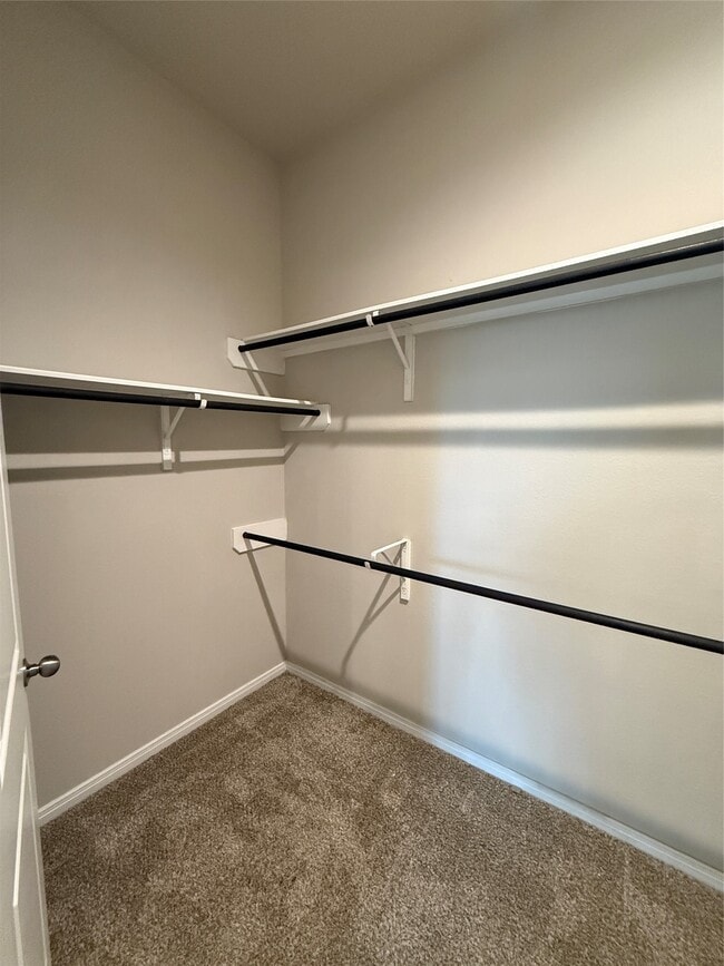 Building Photo - 4935 Mountain Cypress Trail