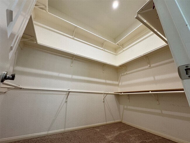 Building Photo - 5822 Pinellas Park Ct