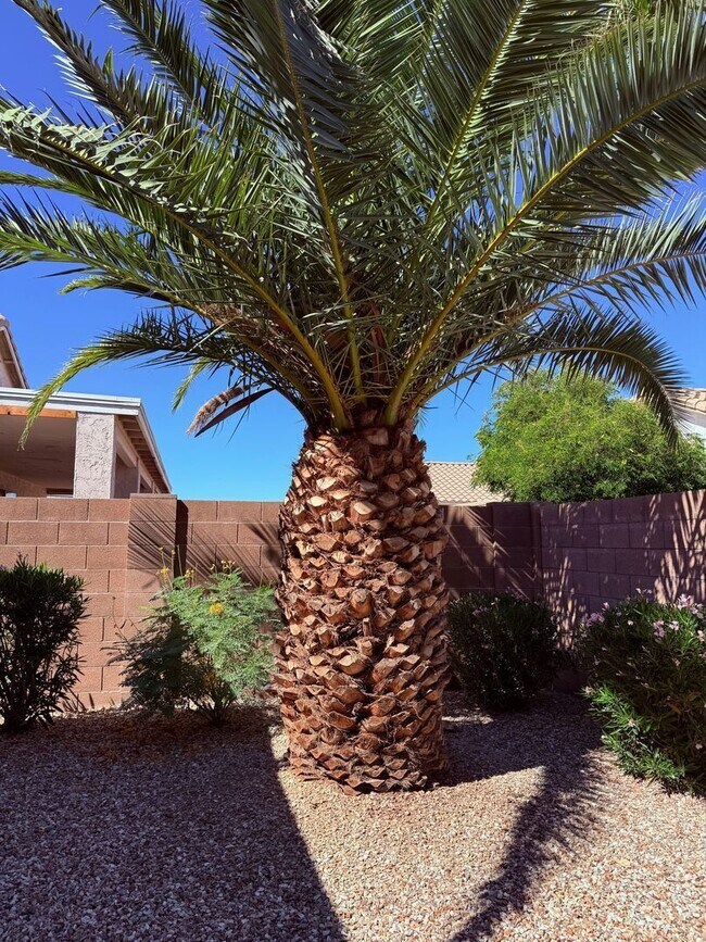 Building Photo - 18252 W Buena Vista Dr