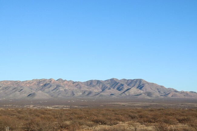 Building Photo - Welcome to your Southern Arizona desert oasis!