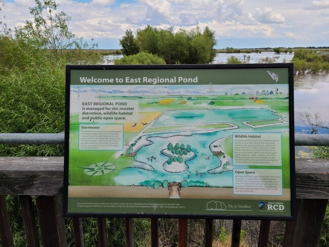 Building Photo - Stunning home with luxurious wood floor and beautiful spacious yard