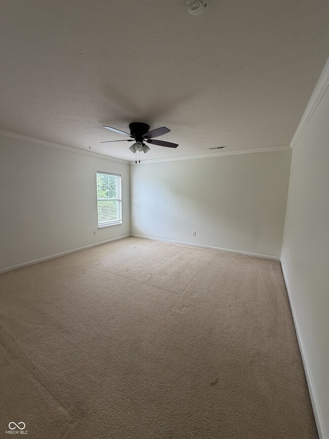 Building Photo - 4410 Viva Ln