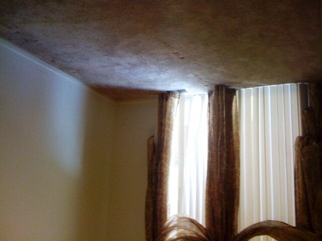 Building Photo - 73 Winder St