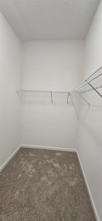 Building Photo - 2803 Hull Ln