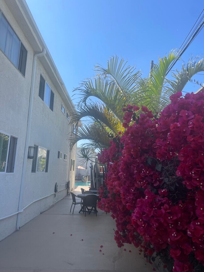 Beautiful Landscaping - 2721 2nd St