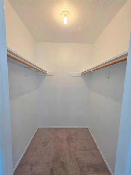 Building Photo - 15208 Spring Hill Ln