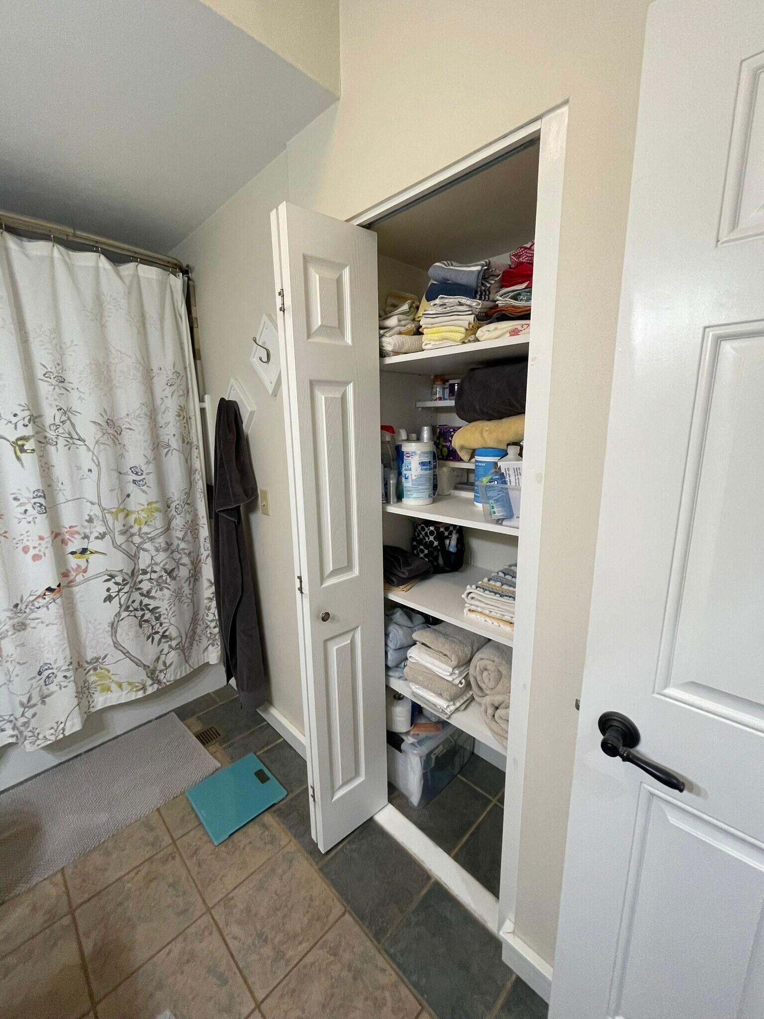 Large bath. Tub/shower & large linen closet. - 2010 E Iron St