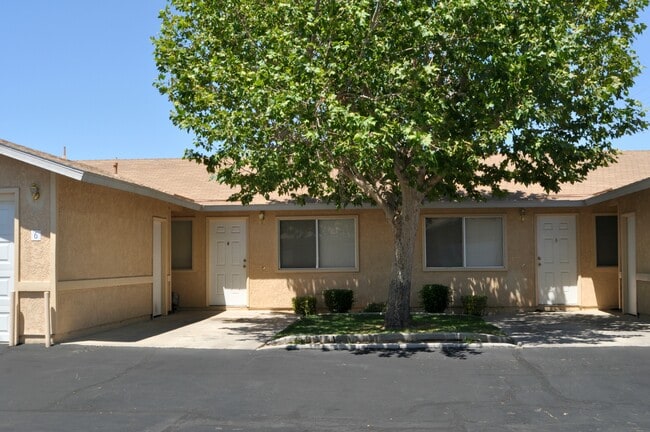 Building Photo - Desert Meadows Apartments