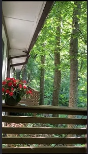 Building Photo - 1007 Wave Rd