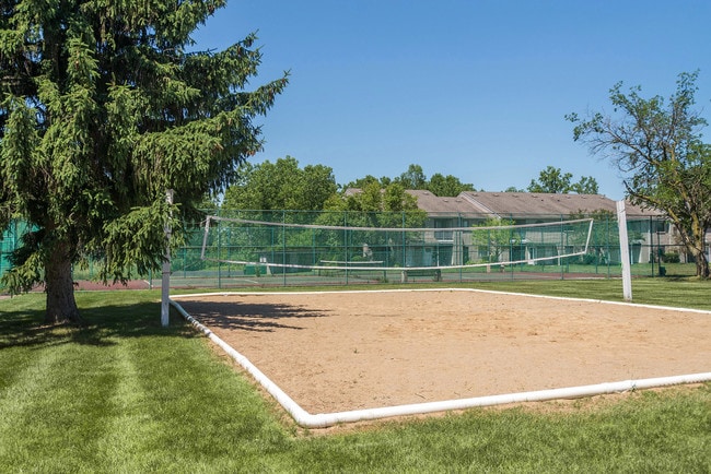 Sand Volleyball - Roundtree