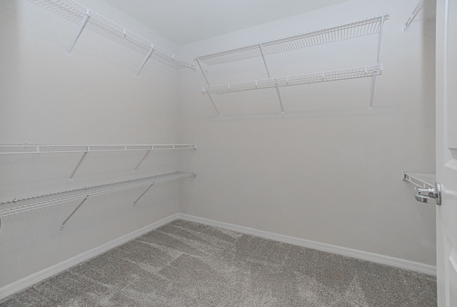 Building Photo - 79 Myrtle Oak Ct