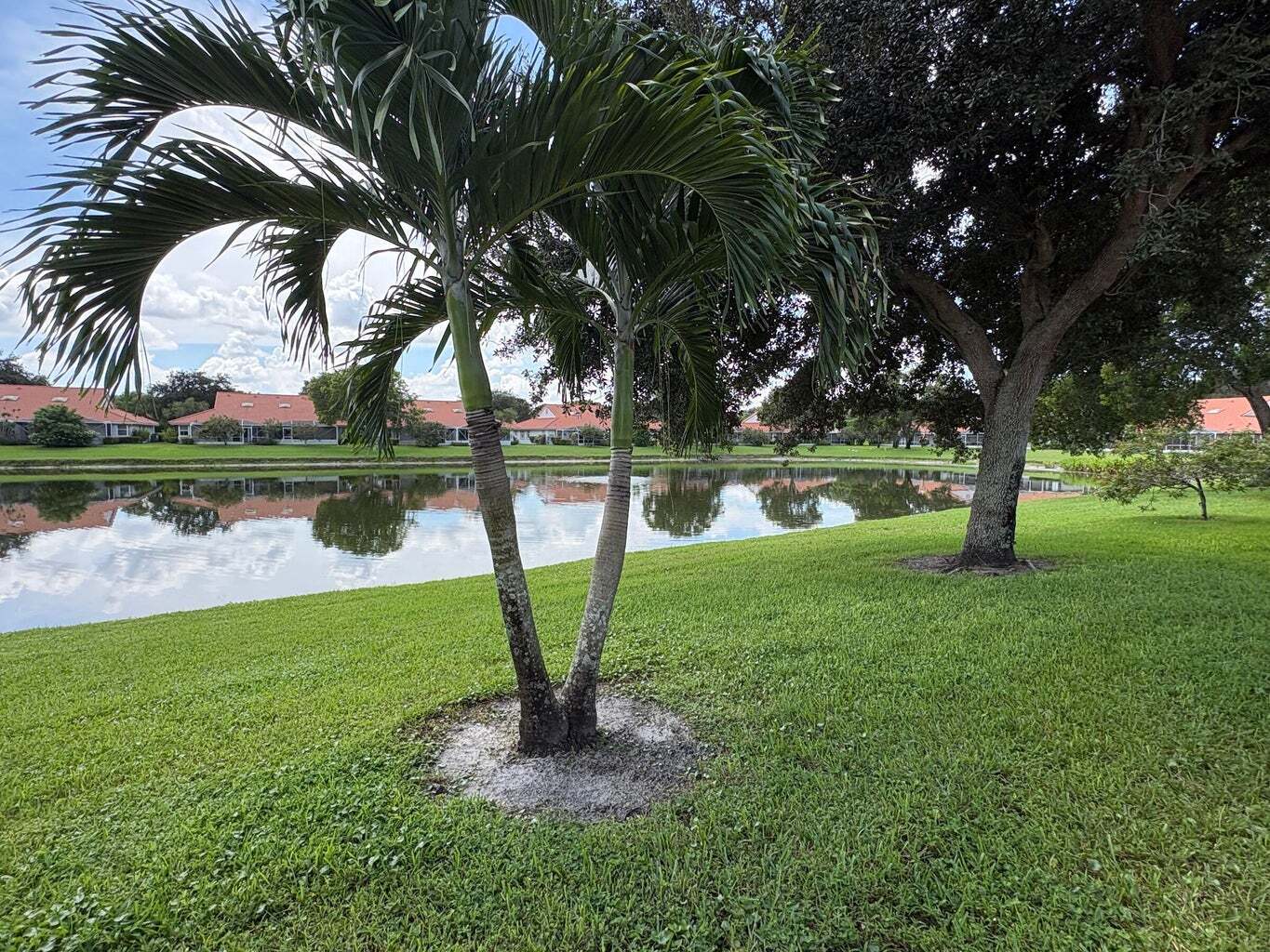 Building Photo - 7702 Majestic Palm Dr