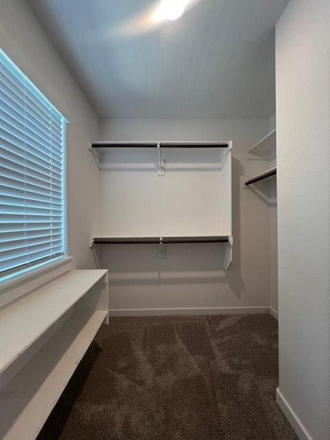 Building Photo - 2382 E Frontier Elm Dr