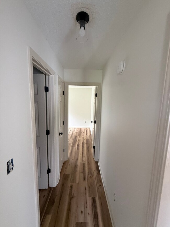 Building Photo - 103 Pinebark Ln