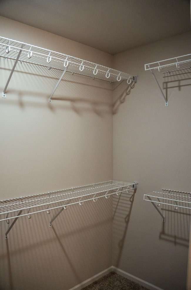 Building Photo - Tobi Lane Twinhome