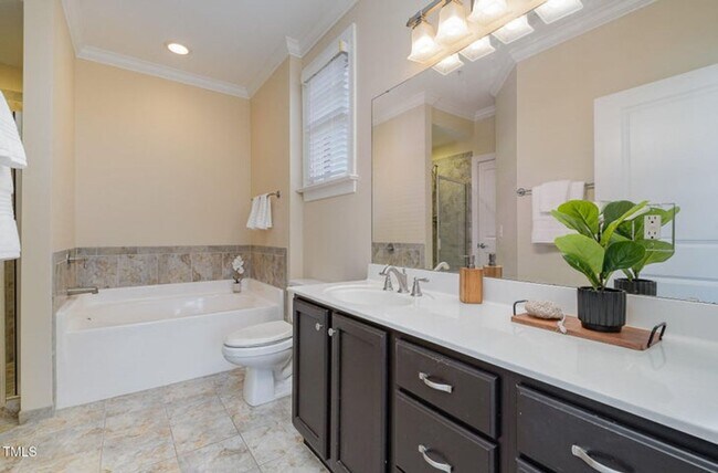 Building Photo - Prime Davis Park Location! Move-In Ready 2...