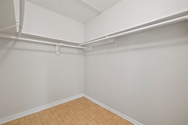 Building Photo - 3414 Lemon Tree Ln