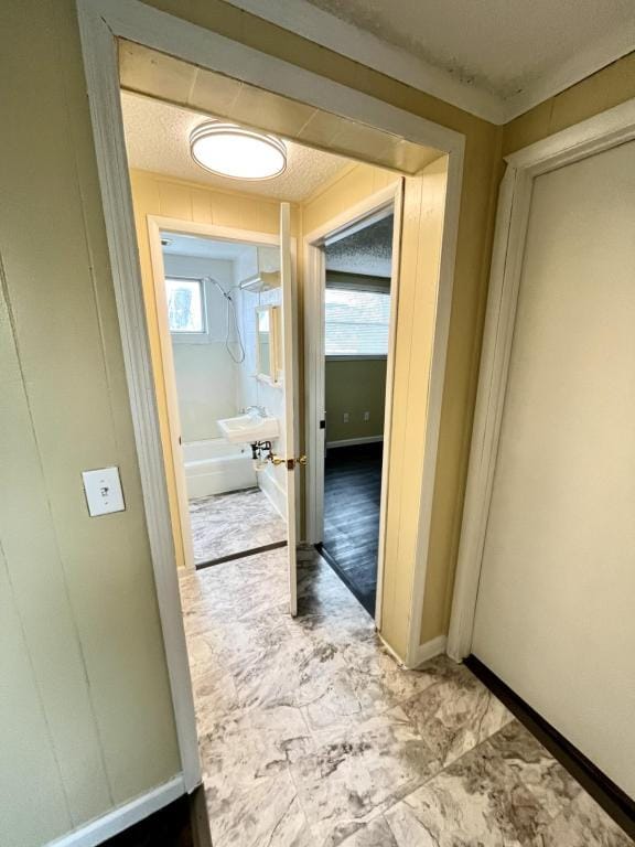 Building Photo - 106 Lind St