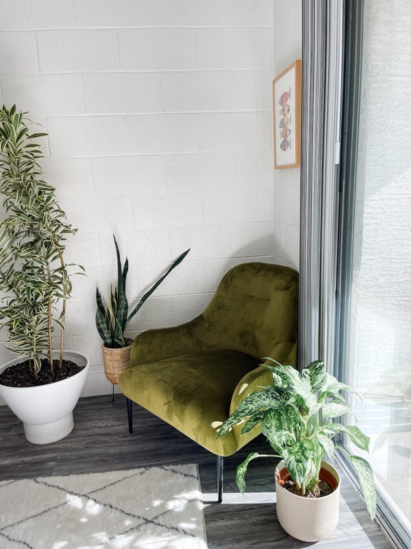 Building Photo - 1855 E Don Carlos