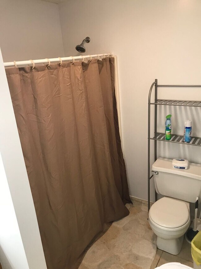 Building Photo - 4 BR/2 BA Apartment in Heart of Athens