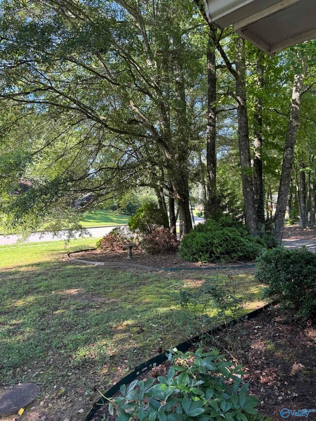 Building Photo - 109 Capote Dr