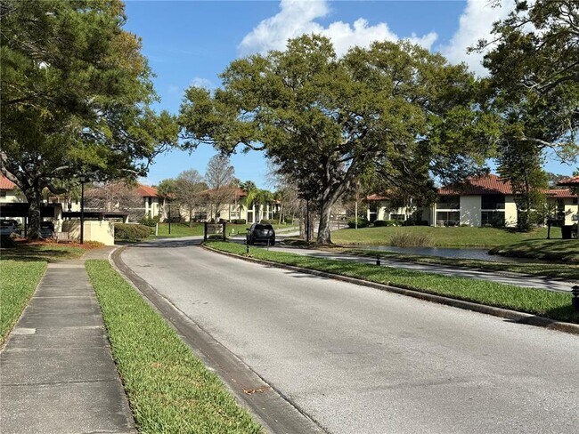 Building Photo - 1711 Hammock Pine Blvd
