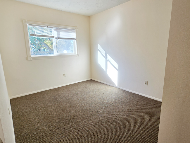 Building Photo - 1286 Blaine Ave