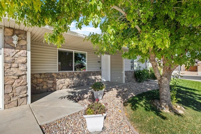 Building Photo - 2952 Red Cloud Ln