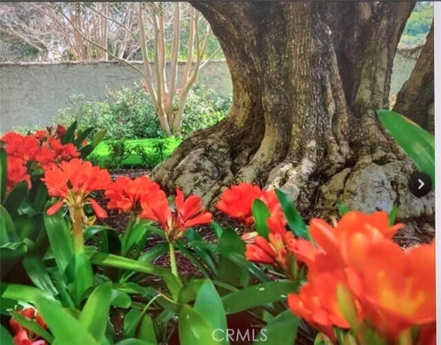 Building Photo - 3801 Mainsail Cir