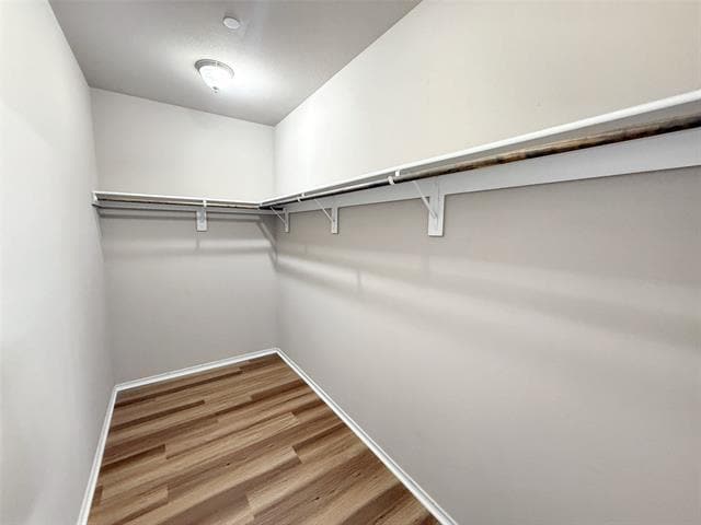 Building Photo - 512 E Hazelwood St