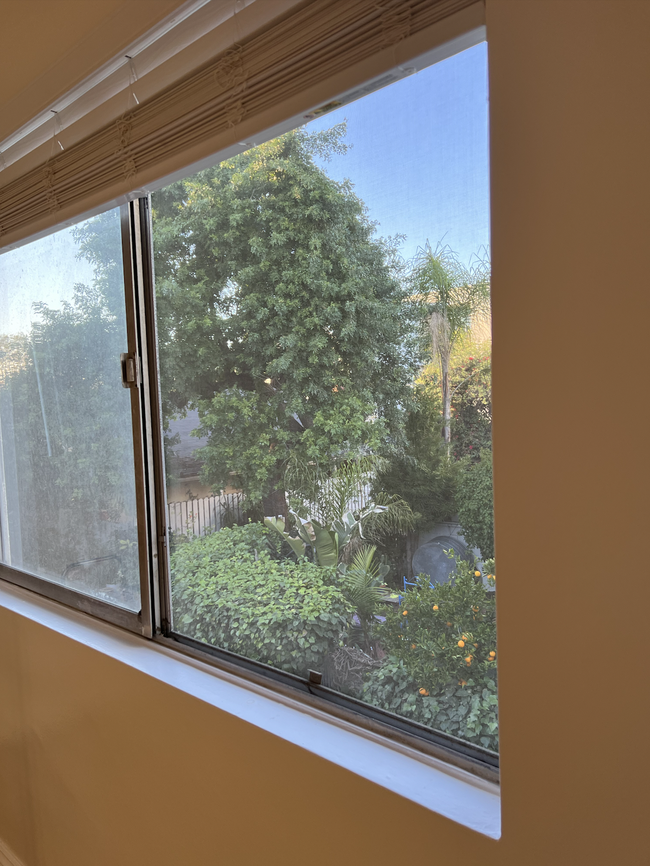 Living Room Garden View - 5115 Coldwater Canyon Ave