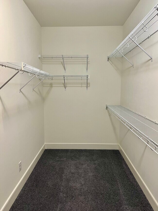 Primary Large Walk-in Closet - 9403 Delphinium St